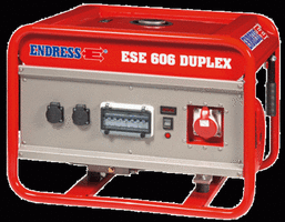 ENDRESS ESE 606 DSG/A-GT ES Duplex с блоком автоматики в комплекте