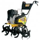 Texas Lilli 572 B