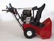 Toro 38820