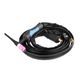 TRITON ALUTIG 250P AC/DC