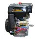 Dinking DK190FE-S