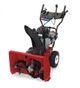 Toro 38816
