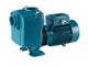 Calpeda A65-150A/B
