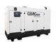 GMGen Power Systems GMC200 в кожухе