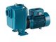 Calpeda A50-125A/A