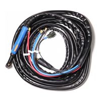 Aurora TIG IRONMAN 315 AC/DC PULSE (INN), 8M