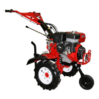 DDE V 900 II (