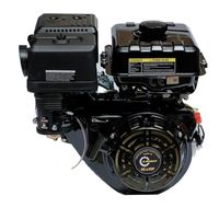 Lifan 190FD-R D22