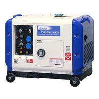 ТСС DGW-250ESS