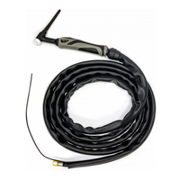 Aurora TIG 26 180A(35%) M12x1, 4m (без управляющих разъемов)