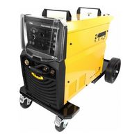 КЕДР AlphaMIG-250S-3