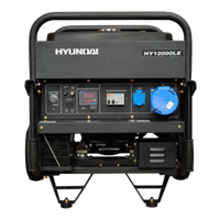 Hyundai HY 12000LE
