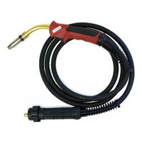 Aurora MIG 24 AIR COOL 250A(60%) EURO 4m