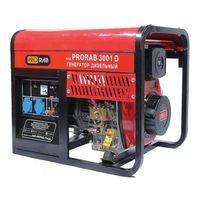Prorab 3001 D