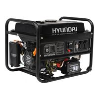 Hyundai HHY3000FE
