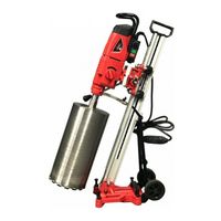 Diamaster D-300/2E