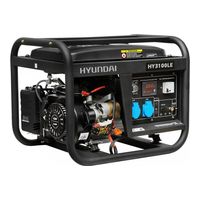 Hyundai HY 3100LE