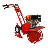 DDE V 700 II