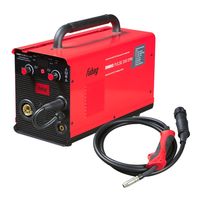 Fubag IRMIG PULSE 200 SYN С ГОРЕЛКОЙ 250 А 3 М В КОМПЛЕКТЕ