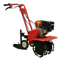 DDE V 750 II