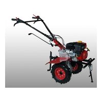 Lifan 1WG1100-C