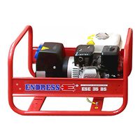 ENDRESS ESE 306 HS (ESE 35 BS profi)