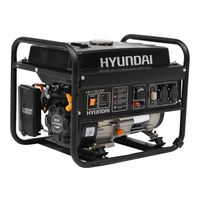 Hyundai HHY 3000F