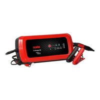 Telwin T-Charge 20 12V/24V
