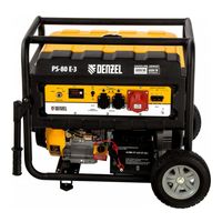 DENZEL PS 80 E-3