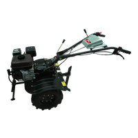 Lifan 1WG700