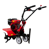 DDE V 800 II (