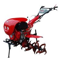 Lifan 1WG1100D
