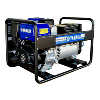 Energo EB10.0/400-W300DC-YE-25