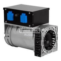 Mecc Alte ES20FS-160