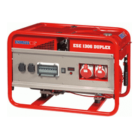 ENDRESS ESE 1306 DSG/A-GT ES Duplex с блоком автоматики в комплекте
