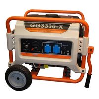 REG E3 POWER GG3300-X бензин