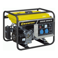 Champion DG12E-3