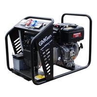 GMGen Power Systems GMSD200YTE