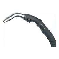 Trafimet EXTRAPLUS 25 (230 А возд. охл.) 4m