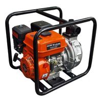Lifan 50ZB60-4,8QT