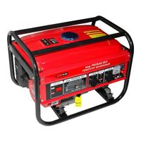 Prorab 3001
