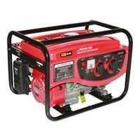 Prorab 3002