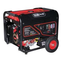 Prorab 6603 EBV
