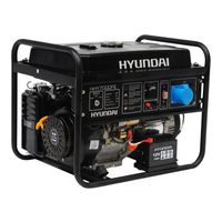 Hyundai HHY7000FE
