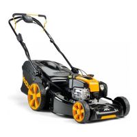 McCulloch M46-160AWREX