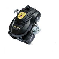 Lifan 1P70FV-3B D22