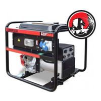 Generac COMBIFLASH RG201HO