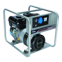 Briggs & Stratton 2400A