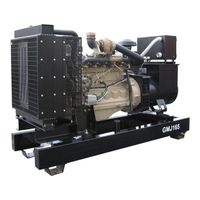 GMGen Power Systems GMJ165