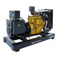 GMGen Power Systems GMJ275